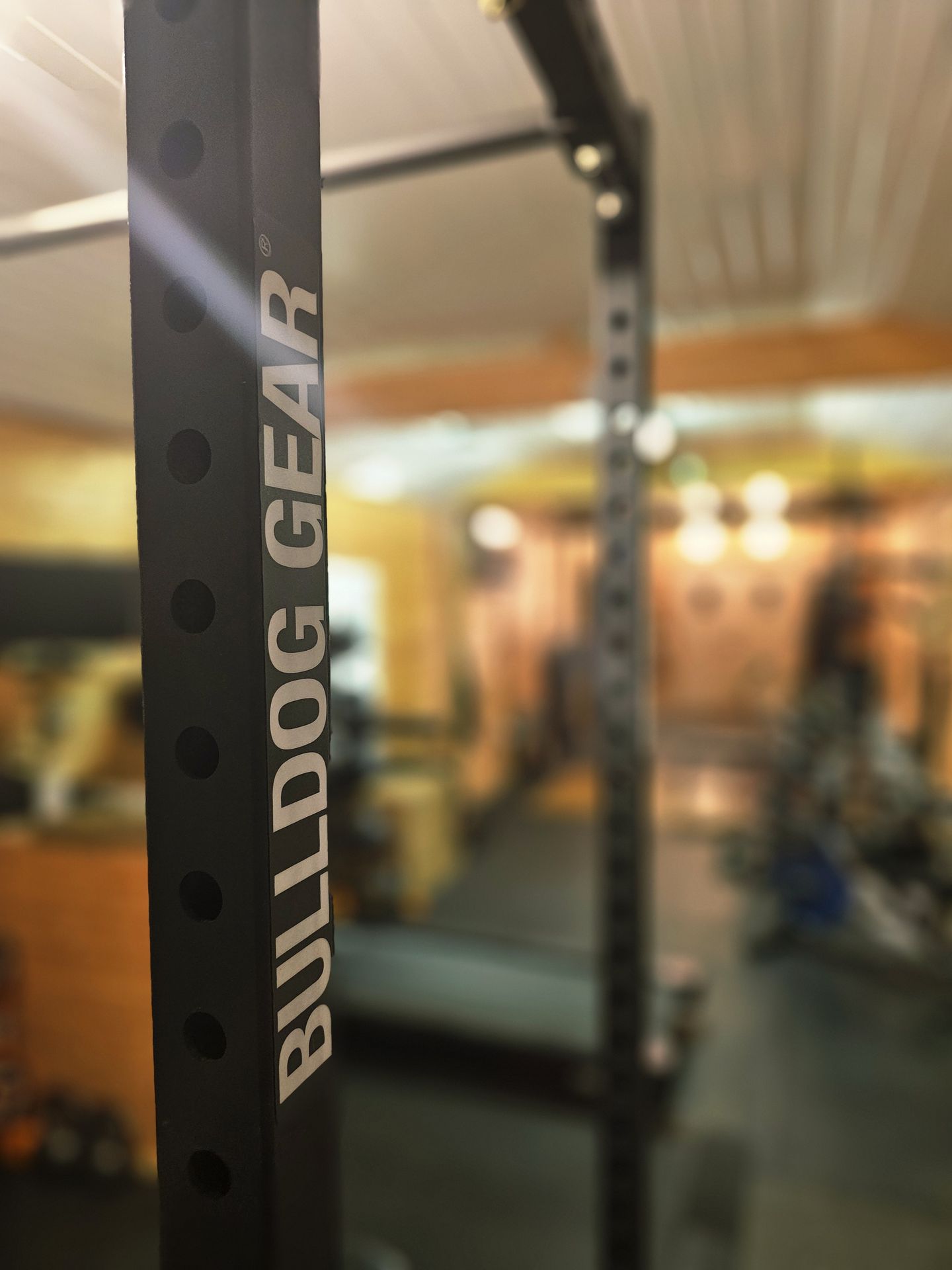 Bulldog Gear squat rack